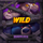 roadkill wild5 symbol icon