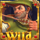 robin hoods wild forest wild 3 symbol icon