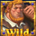 robin hoods wild forest wild 4 symbol icon