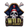 rogues riches cashlink wild symbol icon