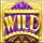 royale vegas wild symbol icon