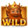royalgarden king wild symbol icon