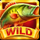 rush fever catch em all wild symbol icon
