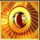 safari gold megaways wild coin symbol icon