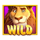 safari mystery wild symbol icon