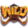 safari of wealth wild icon