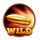 safari shoot wild symbol icon