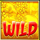 samurai takeo wild symbol icon