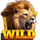 serengeti sunrise hold and earn lion wild symbol icon