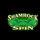 shamrock spin wild symbol icon