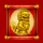 shaolins tiger wild symbol icon