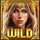 shields of gold valkyrie hold and win wild symbol icon