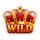 shining royal 100 wild symbol icon