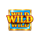 shining wilds wild barbarbar symbol icon