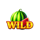 shining wilds wild watermelon symbol icon