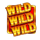 sizzling coins wild symbol icon