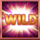 slingo gold cash wild 1 symbol icon