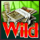 slot boss wild symbol icon