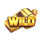 soccer storm hold and win wild symbol icon
