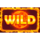 solar temple wild symbol icon
