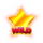 sp1 wild star result icon