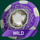 space collector wild symbol icon