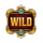 spin vention wild symbol icon
