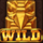 spirit of the beast wild symbol icon