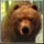 spirit of the wild bear symbol icon