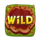 splashin pigs ultimate wild 2 symbol icon