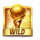 stadium of riches wild symbol icon