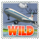 stamp world wild symbol icon