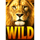 stampede spins wild lion symbol icon