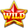 star heat 40 wild 2 symbol icon