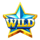 star heat 40 wild symbol icon