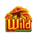 starbloom fortune wild symbol icon