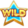 stellar stars symbol wild icon
