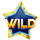 stepping diamonds symbol wild icon