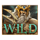 story of medusa wild 1 symbol icon
