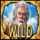 story of zeus wild symbol icon