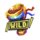 street basket 3x3 wild symbol icon