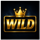 street rush wild symbol icon