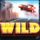 stunt stars wild symbol icon