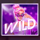 summer jam wild2 symbol icon