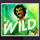 summer jam wild4 symbol icon