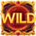 sunny coin 10000 wild symbol icon