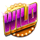 super flip deluxe wild symbol icon