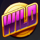 super flip wild symbol icon