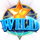 super stars usa wild symbol icon