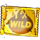 supersized wild symbol icon